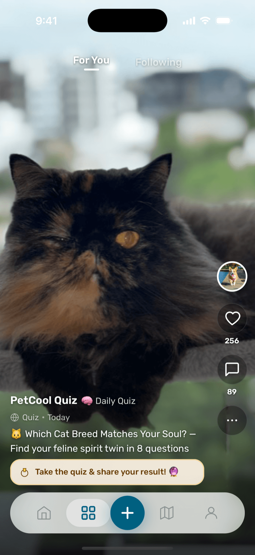 Full-screen PetCool feed showing a community quiz post