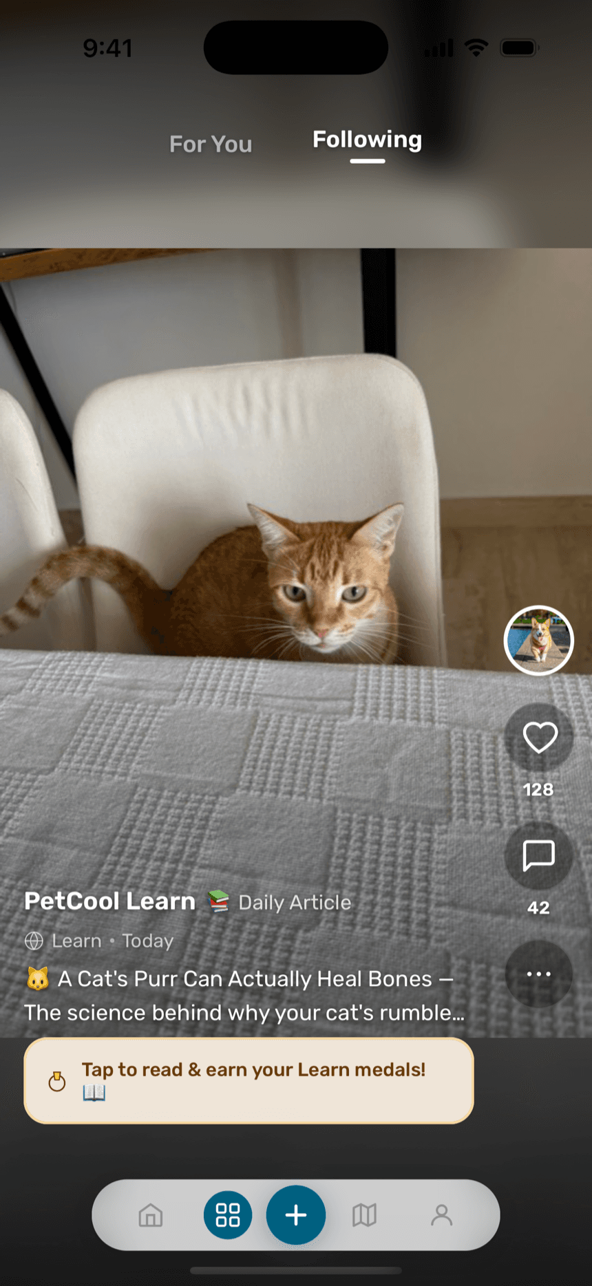 Full-screen PetCool feed showing a daily Learn article post